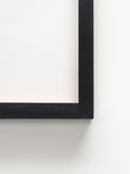 Arte.bio test frame (black)