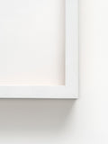 Arte.bio test frame (white)